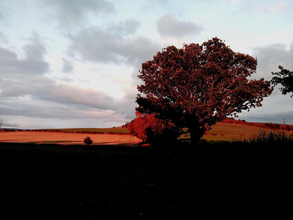19 Park Views Just Outside Penrith For Holidays And Short Breaks Please No Commercial Vans Thankyou High Hesket Exterior foto